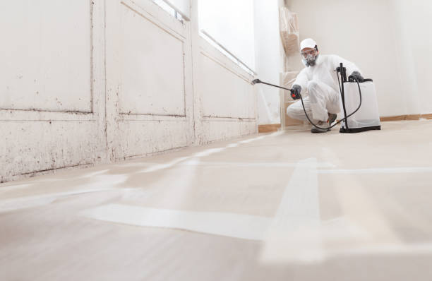 24/7 Emergency Basement Mold Remediation experts in Sabillasville, MD